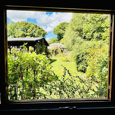 Hideaway Apartment Lytchett Matravers Екстериор снимка
