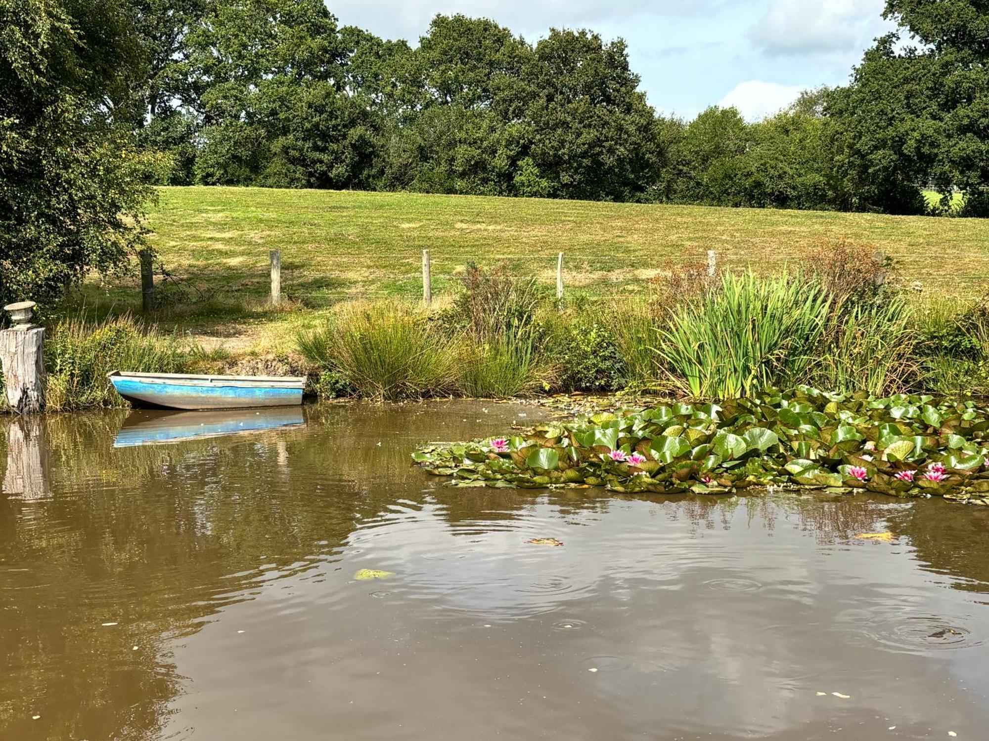 Hideaway Apartment Lytchett Matravers Екстериор снимка